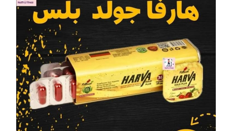 harfa-gold-bls-lltkhsys-harva-gold-plus-big-0