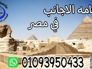 متخصصون في شئون الاجانب في مصر