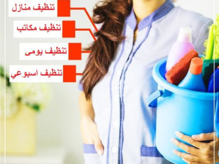 مع سوفت كلين  مارح يكون عندك هم لتنظيف بيتك ورح ترتاحي